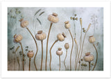 Papaver Poster